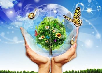 Hãy chứng minh rằng đời sống của chúng ta sẽ bị tổn hại rất lớn nếu mỗi người không có ý thức bảo vệ môi trường sống