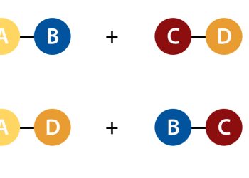 Phản ứng trao đổi là gì? Nhận biết, phương trình, điều kiện xảy ra