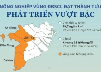 Vùng kinh tế trọng điểm Đồng bằng sông Cửu Long (ĐBSCL)