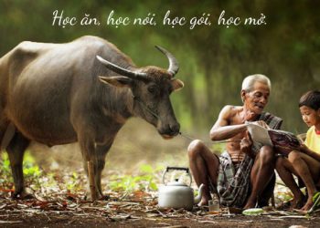 Tục ngữ là gì? Đặc điểm, Hình thức và Ví dụ về tục ngữ Việt Nam