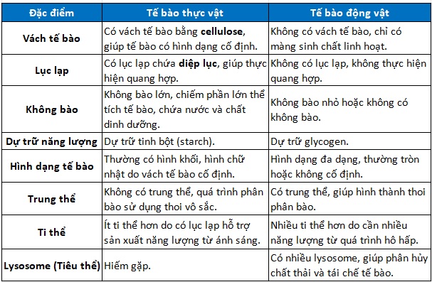 Bảng so sánh tế bào thực vật và tế bào động vật