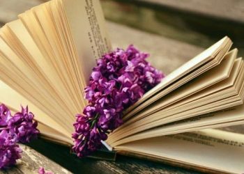 Thuyết minh về một Tác phẩm Văn học mà em yêu thích