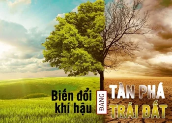 Biến đổi khí hậu là gì? Nguyên nhân, biểu hiện và tác động