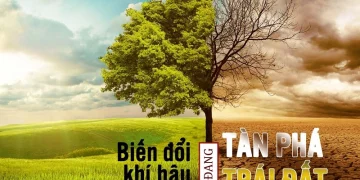 Biến đổi khí hậu là gì? Nguyên nhân, biểu hiện và tác động