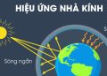 Hiệu ứng nhà kính là gì? Nguyên nhân, thực trạng, cách khắc phục