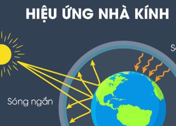 Hiệu ứng nhà kính là gì? Nguyên nhân, thực trạng, cách khắc phục