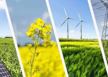 Bài thuyết trình về Năng lượng Tái tạo [Dàn ý + Văn mẫu]