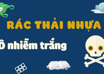 Bài thuyết trình về rác thải nhựa ngắn gọn [Dàn ý + Bài văn mẫu]