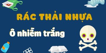 Bài thuyết trình về rác thải nhựa ngắn gọn [Dàn ý + Bài văn mẫu]