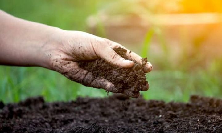 Đất trồng là lớp bề mặt ... của vỏ Trái Đất