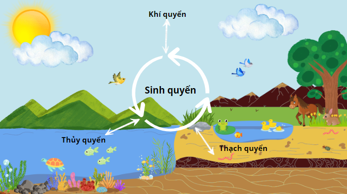 Thạch Quyển là gì? Cấu tạo, giới hạn, sự khác biệt với vỏ Trái Đất