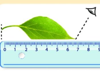 Bảng đơn vị đo độ dài và cách chuyển đổi đầy đủ nhất