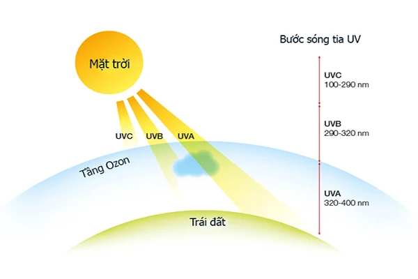 Bức xạ mặt trời là gì? Phân loại, công thức tính và vai trò