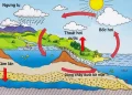 Chu trình nước trong tự nhiên trên Trái Đất