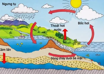 Chu trình nước trong tự nhiên trên Trái Đất