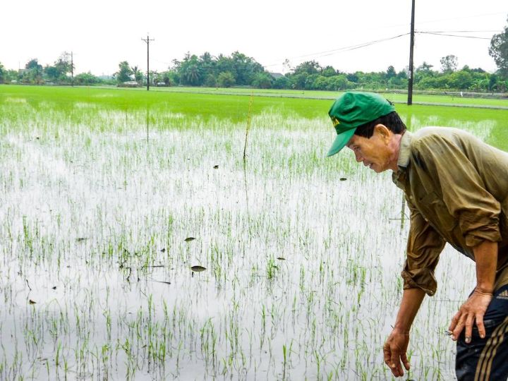 Gió mùa Tây Nam là gì? Đặc điểm, nguồn gốc và ảnh hưởng