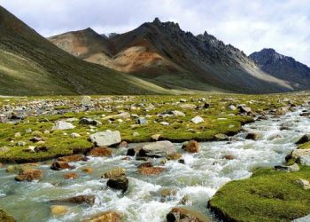 Phong hóa và các kiểu phong hóa: Khái niệm, Quá trình và Ví dụ