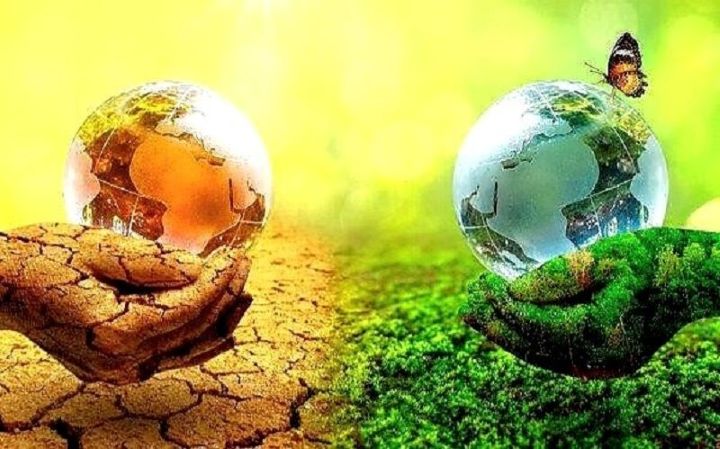 Vai trò của tầng Ozon là gì? Đối với Trái Đất và con người