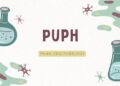Phản ứng phân hủy là gì? Đặc điểm, Phân loại, Ví dụ và Ứng dụng