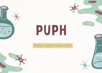 Phản ứng phân hủy là gì? Đặc điểm, Phân loại, Ví dụ và Ứng dụng